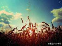 山东沐泽商贸有限公司