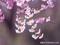 山东沐泽商贸有限公司