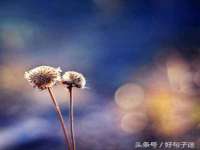 山东沐泽商贸有限公司