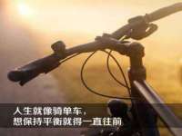山东沐泽商贸有限公司
