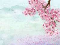 山东沐泽商贸有限公司