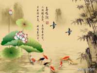 山东沐泽商贸有限公司