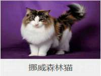山东沐泽商贸有限公司