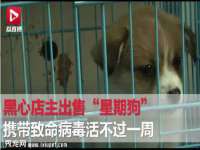 山东沐泽商贸有限公司