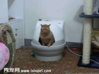 山东沐泽商贸有限公司