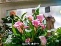 山东沐泽商贸有限公司