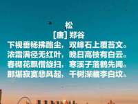 山东沐泽商贸有限公司