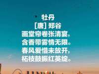 山东沐泽商贸有限公司