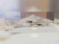 山东沐泽商贸有限公司