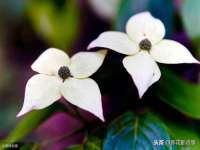 山东沐泽商贸有限公司