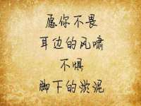 山东沐泽商贸有限公司