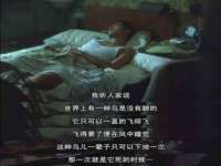 山东沐泽商贸有限公司