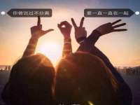 山东沐泽商贸有限公司