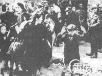 山东沐泽商贸有限公司