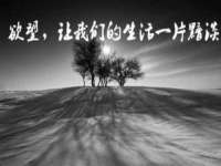 山东沐泽商贸有限公司