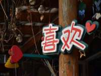 山东沐泽商贸有限公司