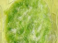 山东沐泽商贸有限公司