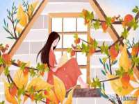 山东沐泽商贸有限公司