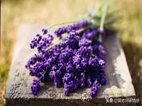 山东沐泽商贸有限公司