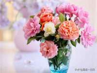 山东沐泽商贸有限公司