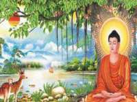 山东沐泽商贸有限公司