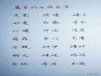 山东沐泽商贸有限公司
